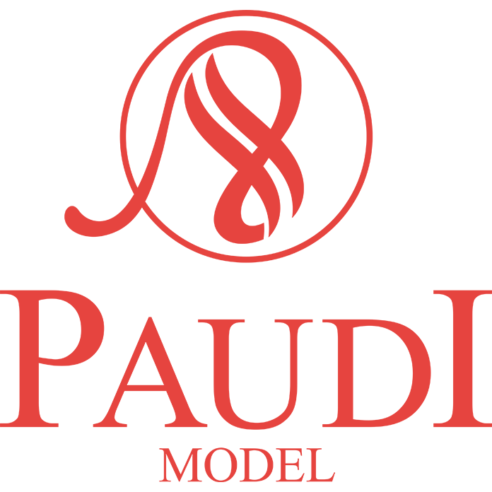 Guangzhou Paudi Model Technology Ltd. logo